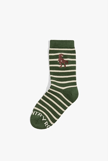 Organically Grown Cotton Blend Dino Sock