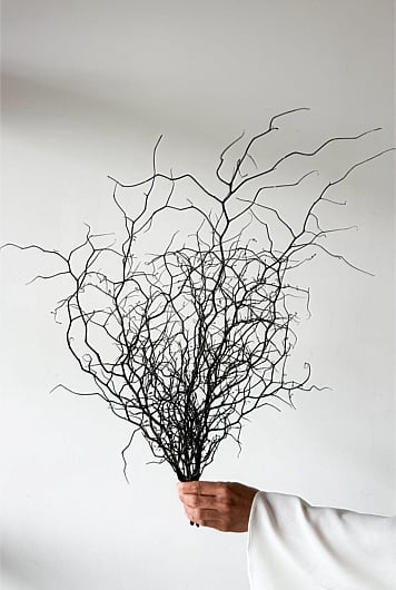 Dried Corokia