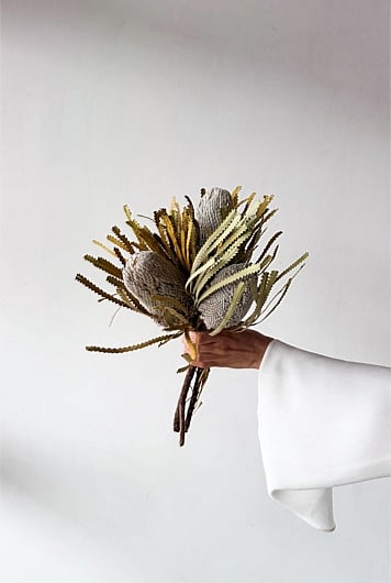 Dried Native Banksia 3 Stems