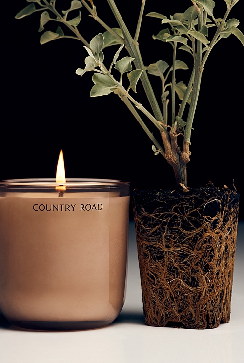 Australian Made Saltbush & Hinoki Wood Candle 240g