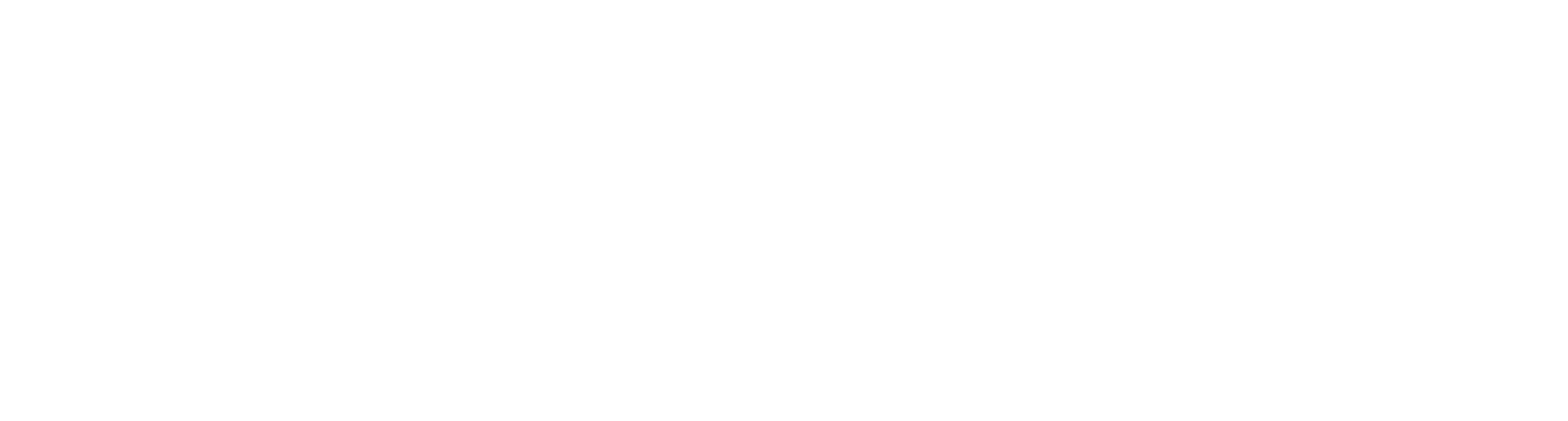 New now collection