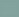Bluegum Bird