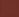 Dark Spice