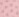 Blush Poppy