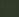 Black Olive