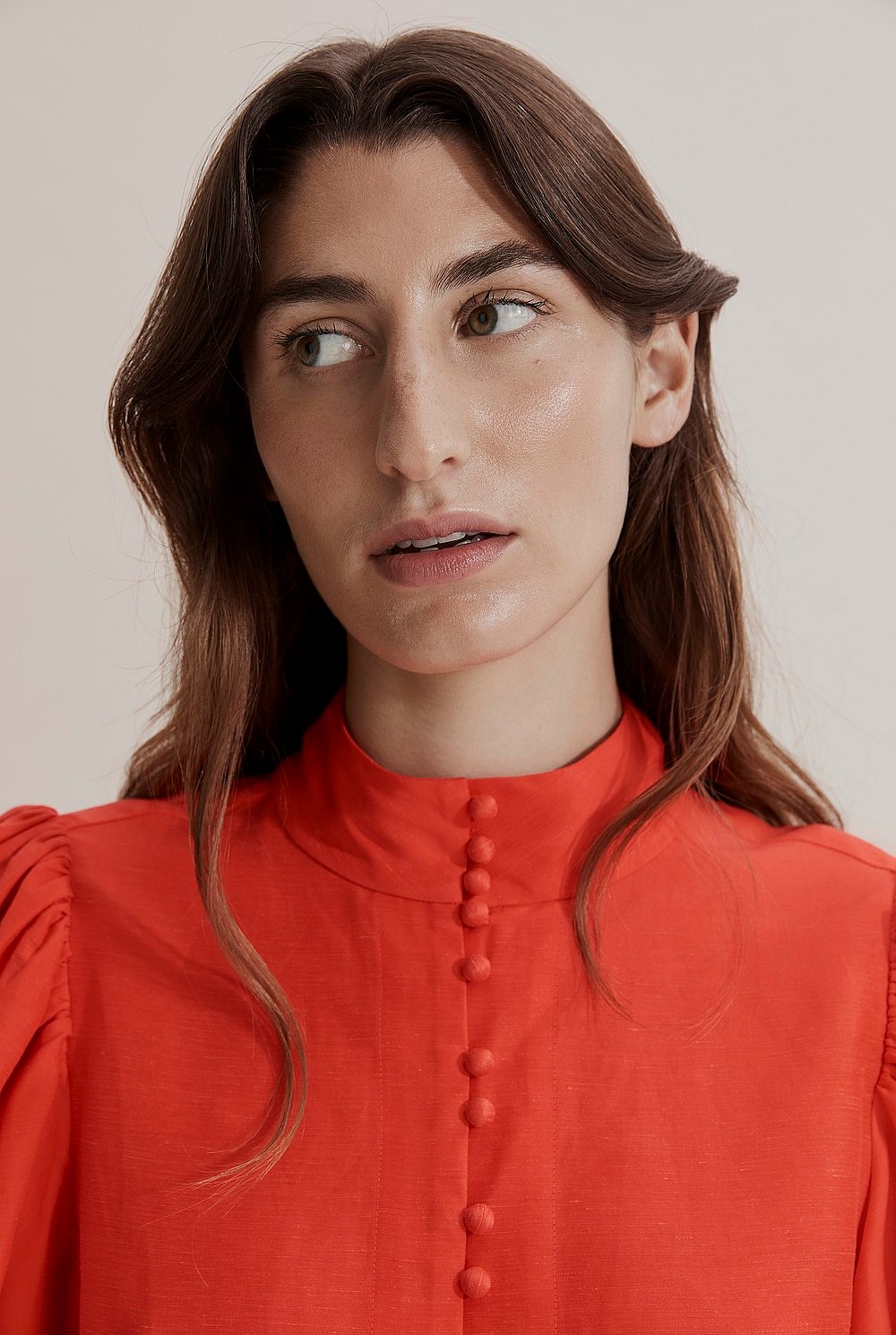 Puff Sleeve Blouse