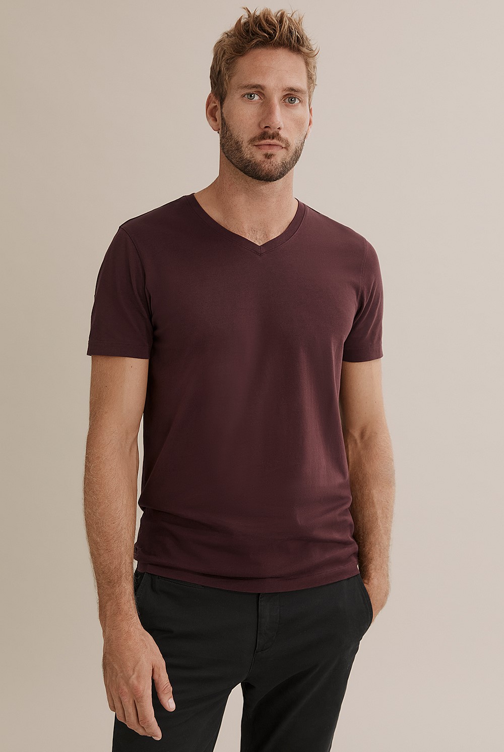 Pima Cotton V-Neck T-Shirt