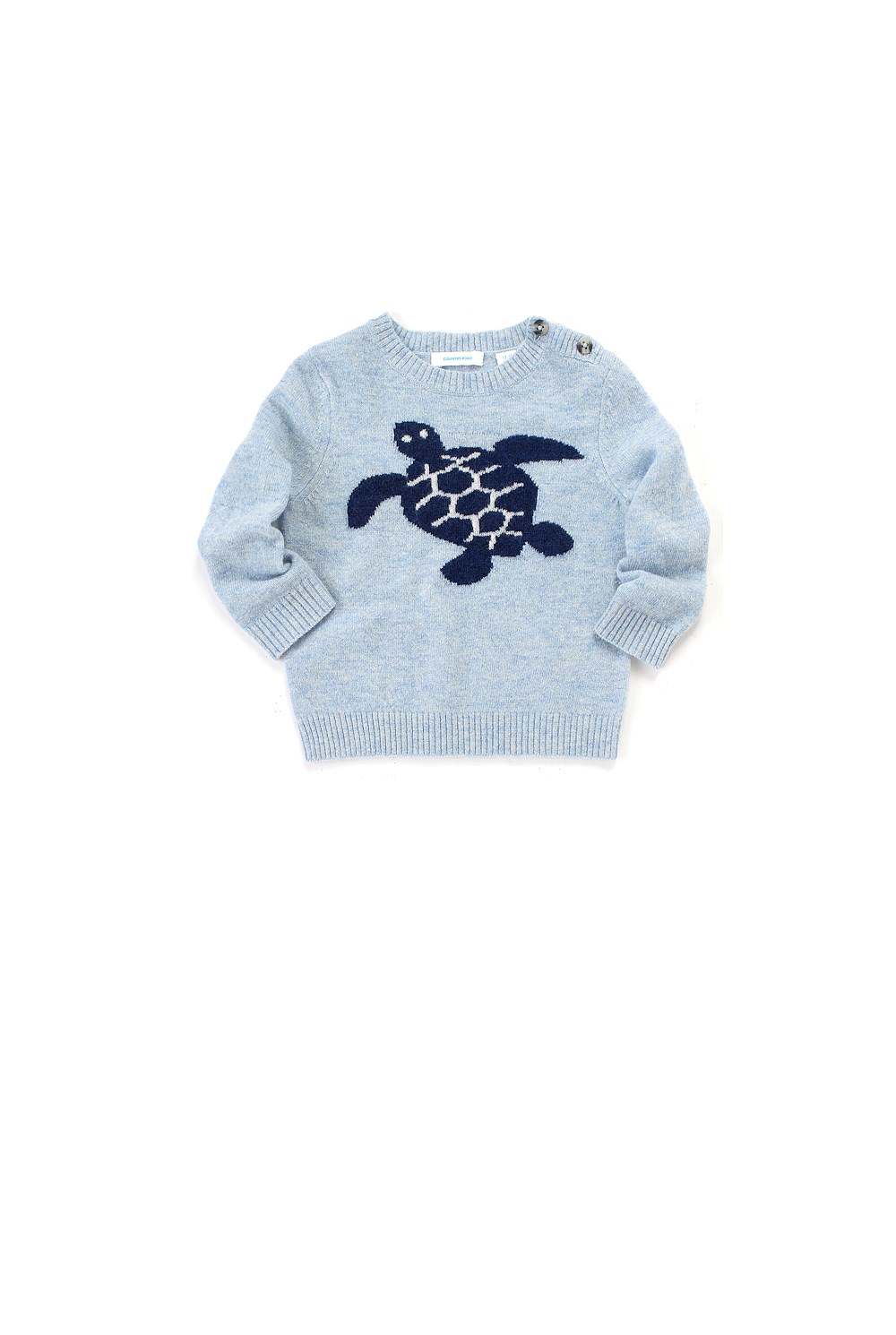Intarsia Turtle Knit