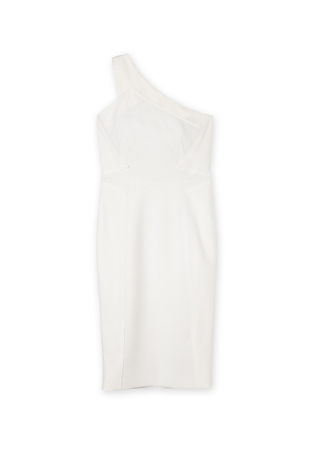 Panel Fitted Dress