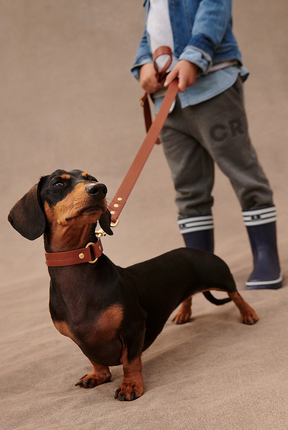Enzo Leather Pet Lead