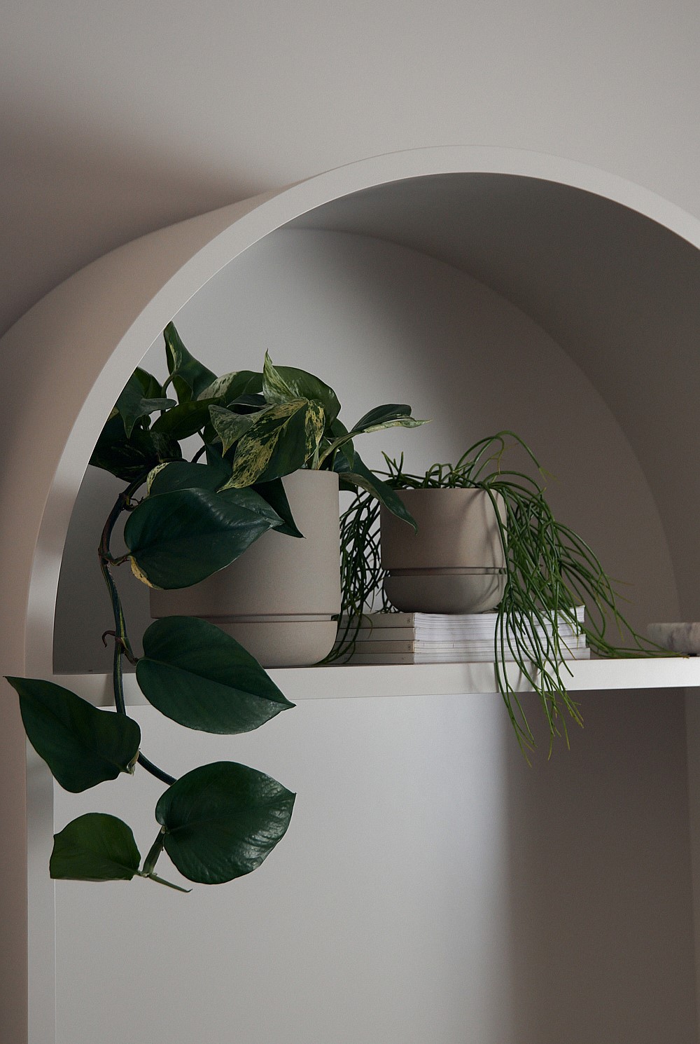 Andy Small Planter
