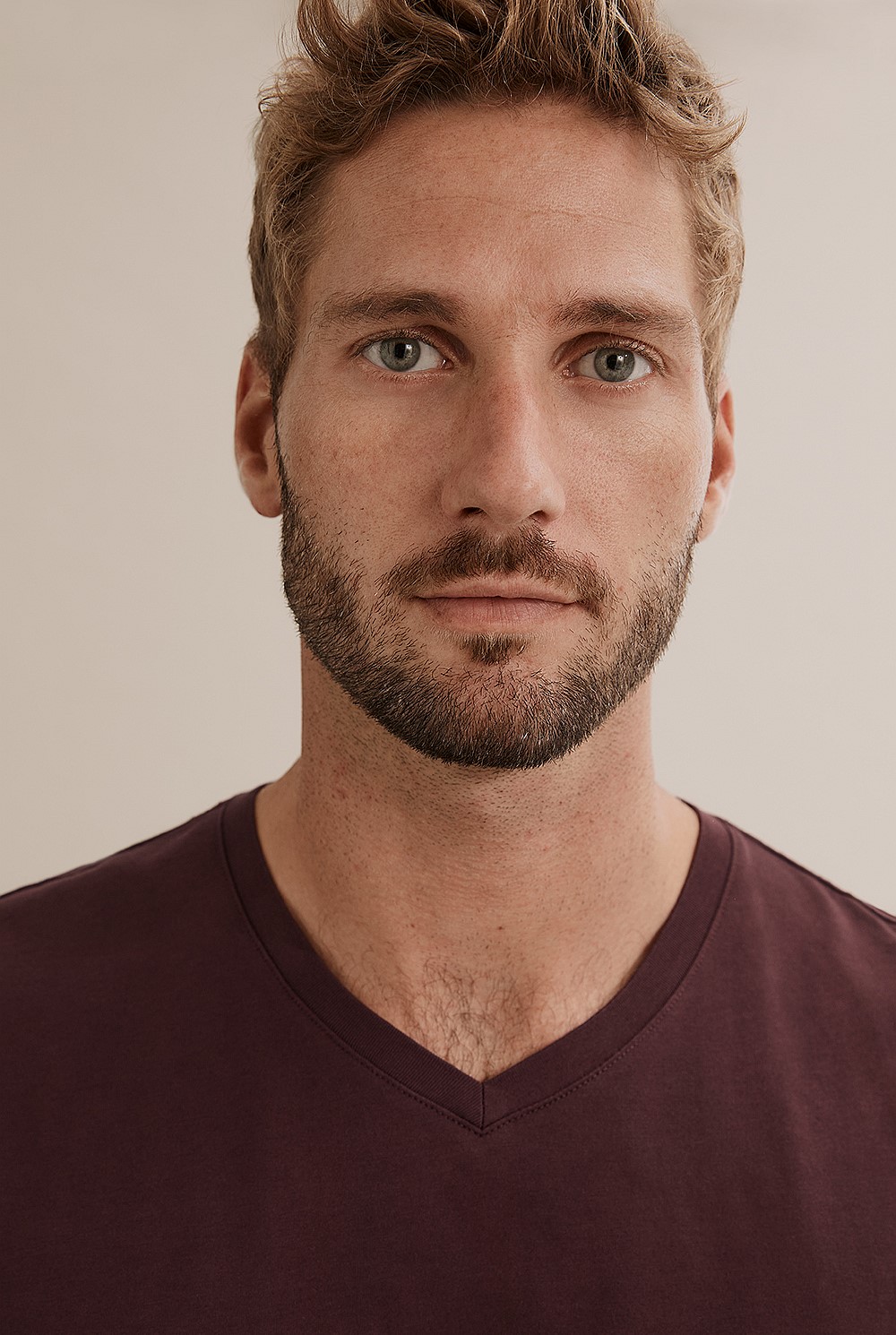 Pima Cotton V-Neck T-Shirt