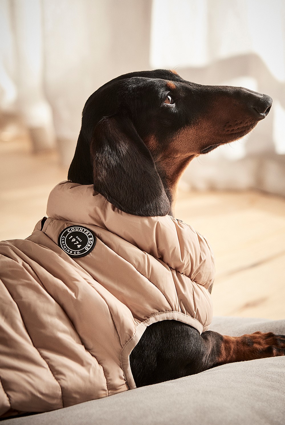 Recycled Alpine Reversible Puffer Vest