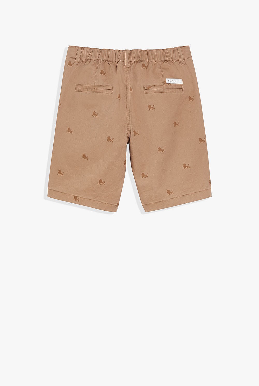 Lion Chino