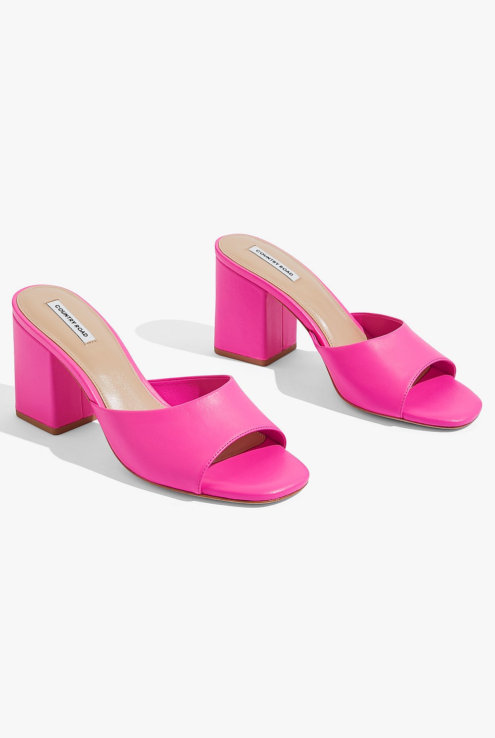 Jodi Mule