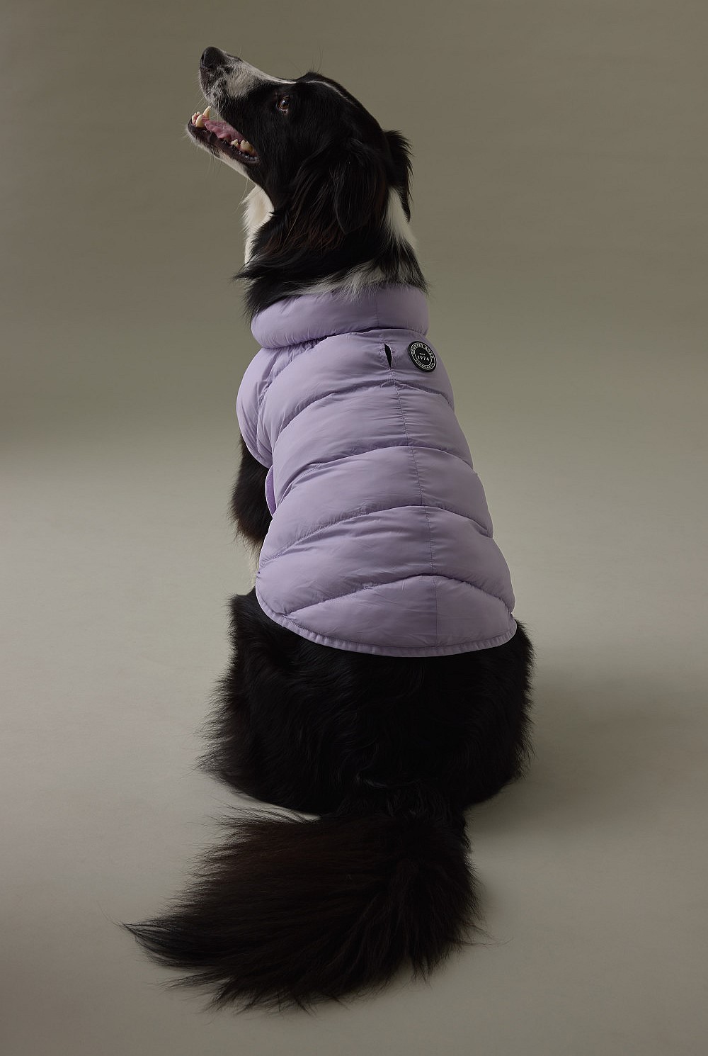 Nylon Balto Pet Puffer