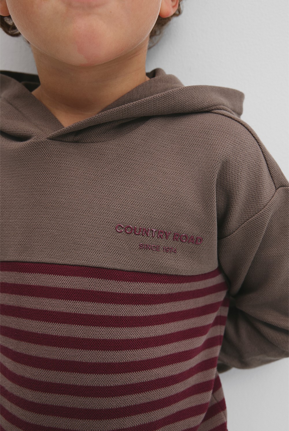 Organically Grown Cotton Hooded Block Stripe T-Shirt