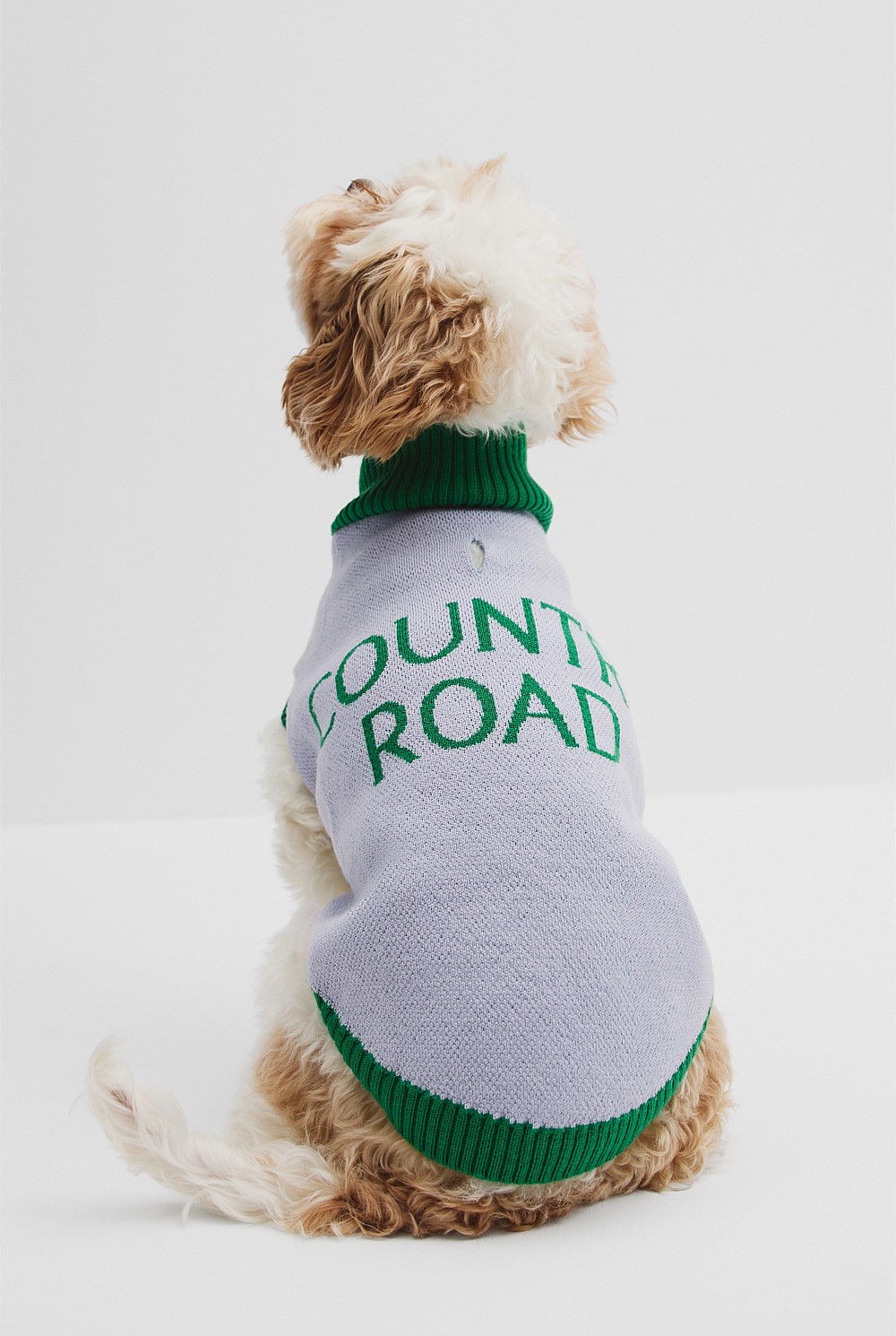 CR x Hatch + Make Sunny Pet Knit