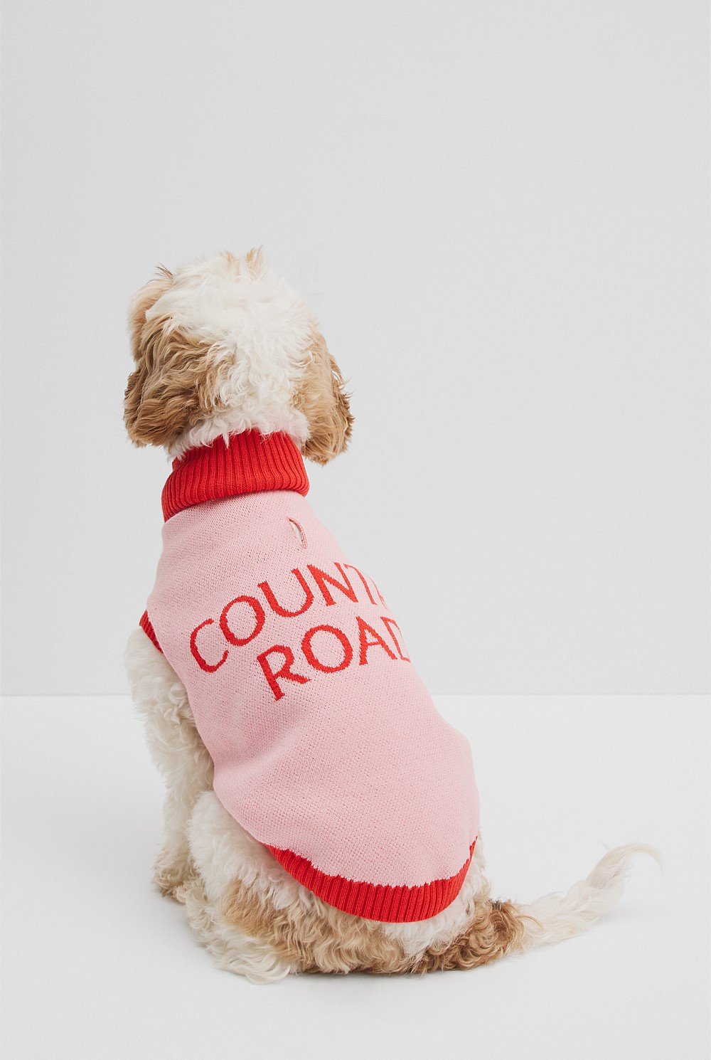 CR x Hatch + Make Sunny Pet Knit