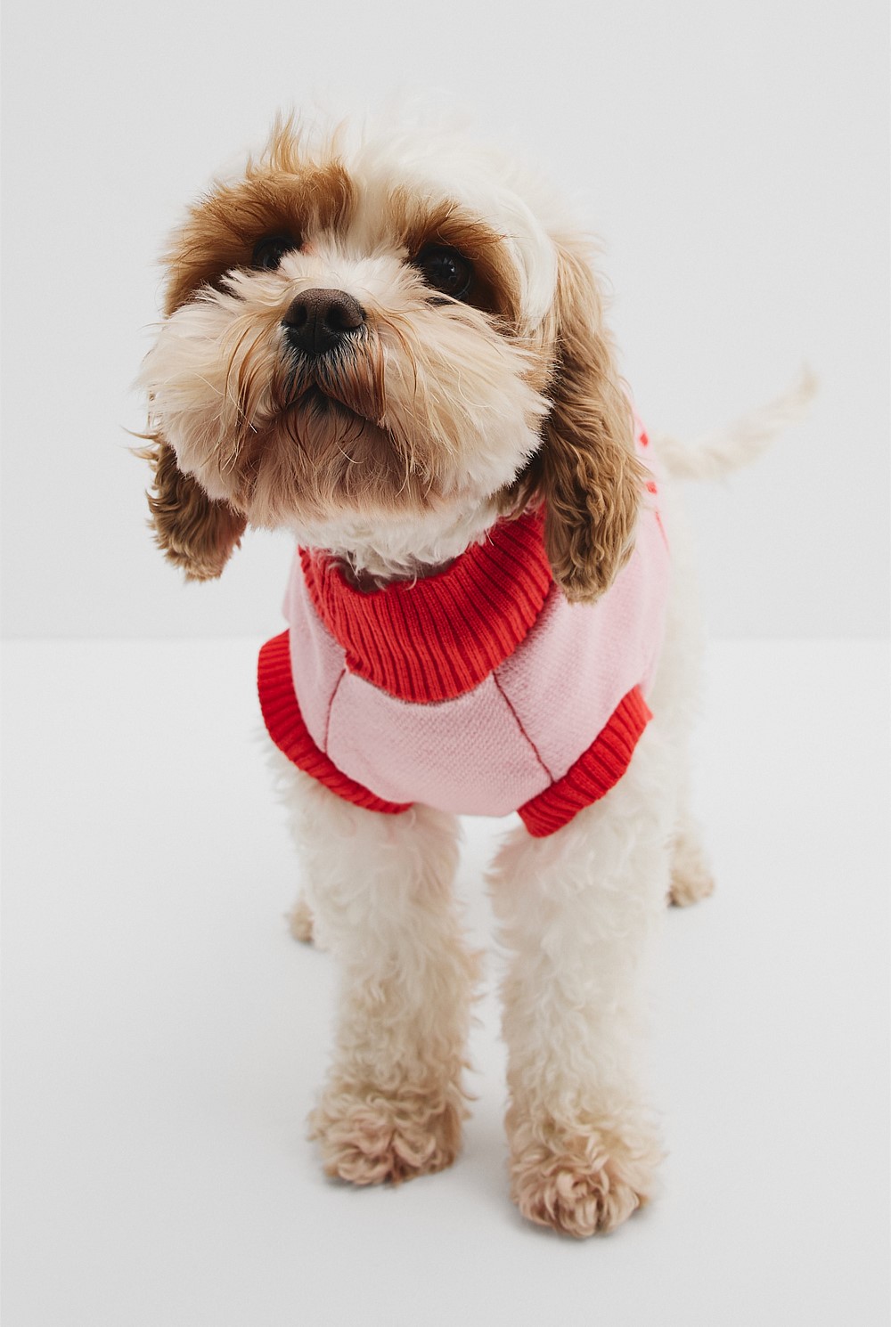 CR x Hatch + Make Sunny Pet Knit