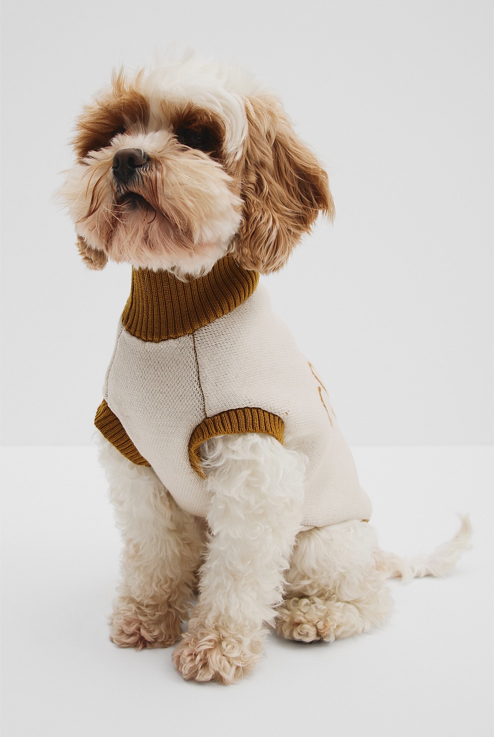 CR x Hatch + Make Sunny Pet Knit