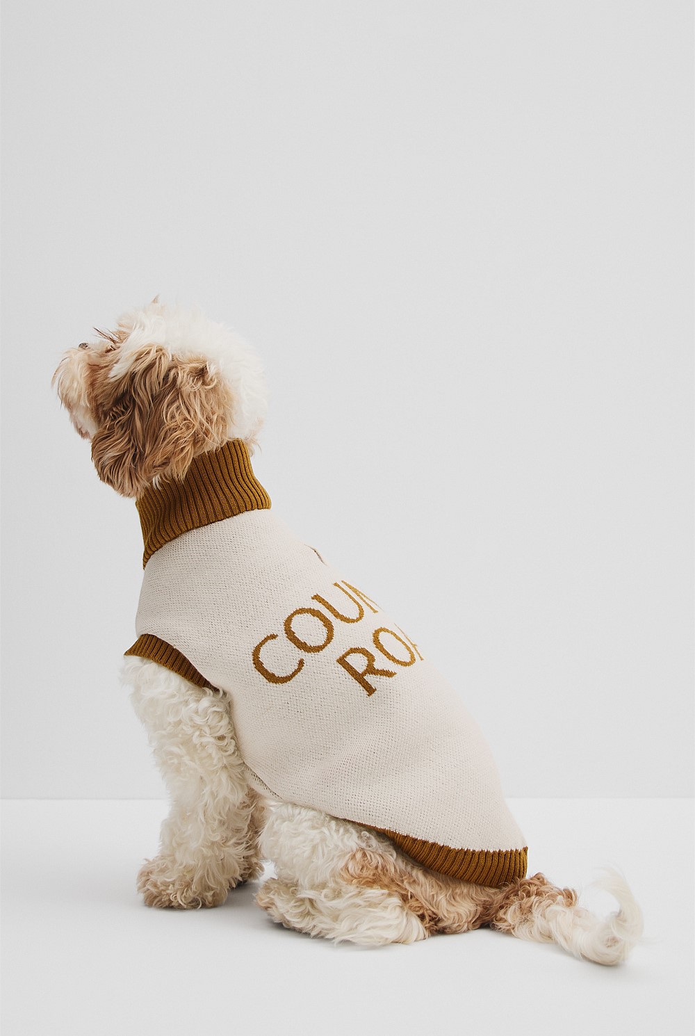 CR x Hatch + Make Sunny Pet Knit