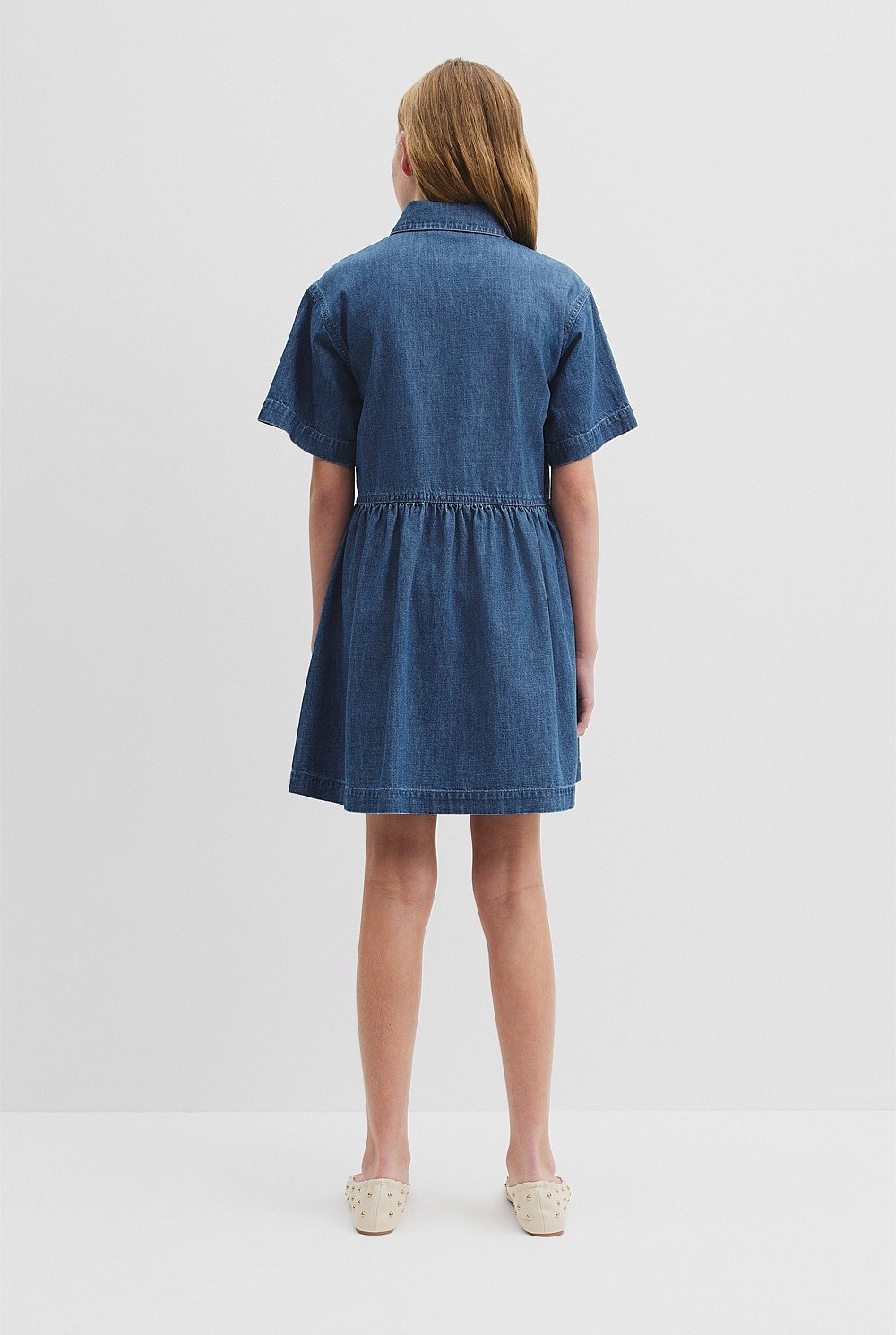 Chambray Mini Dress