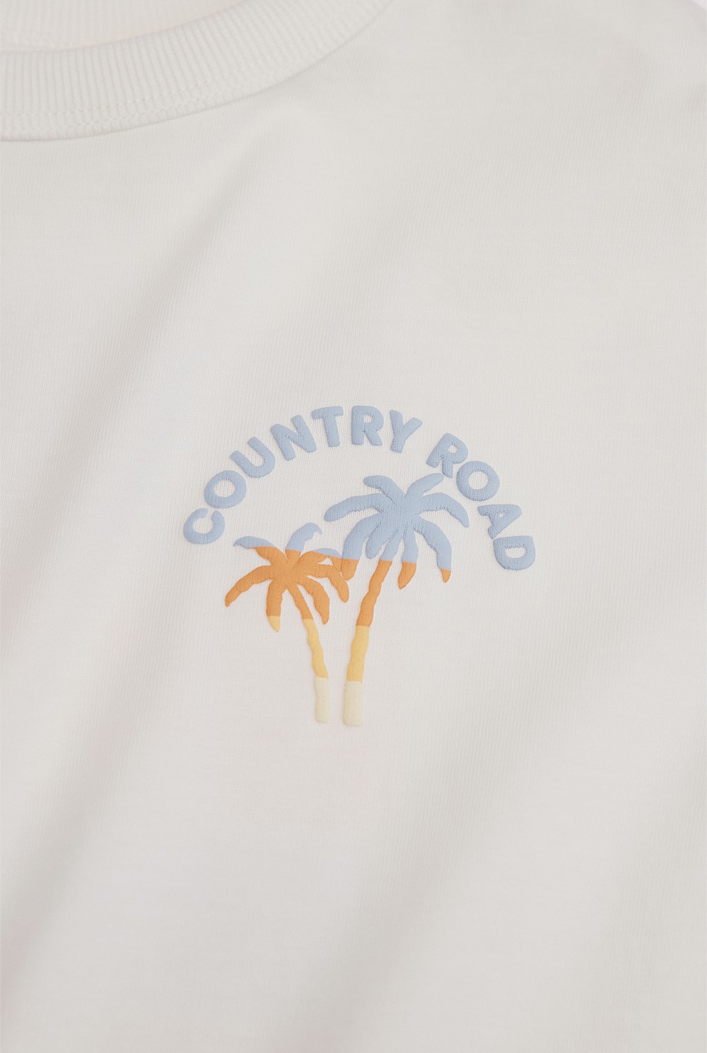 Oversized Ombre Palm T-Shirt