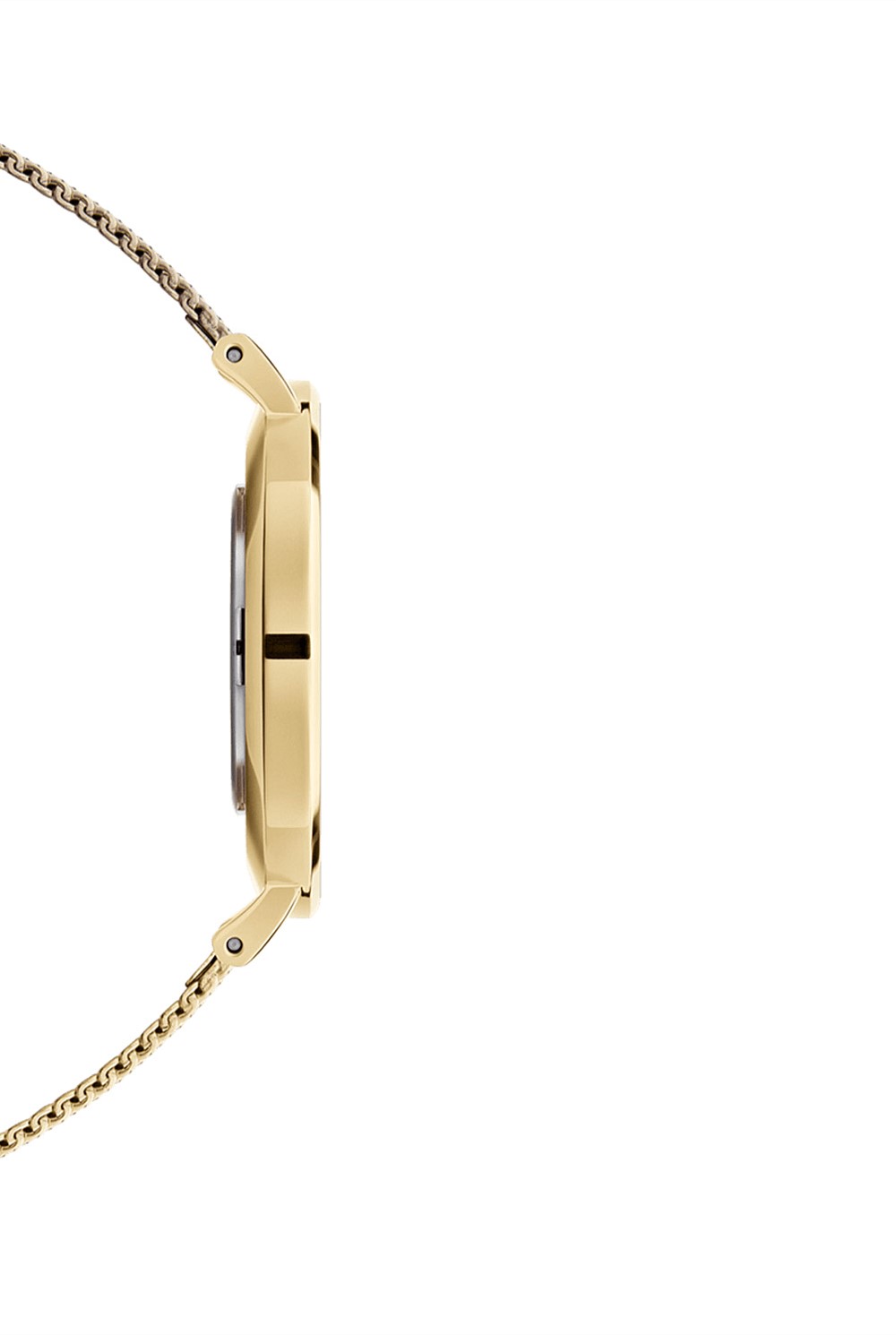 Petite 36 Evergold Gold & White Watch