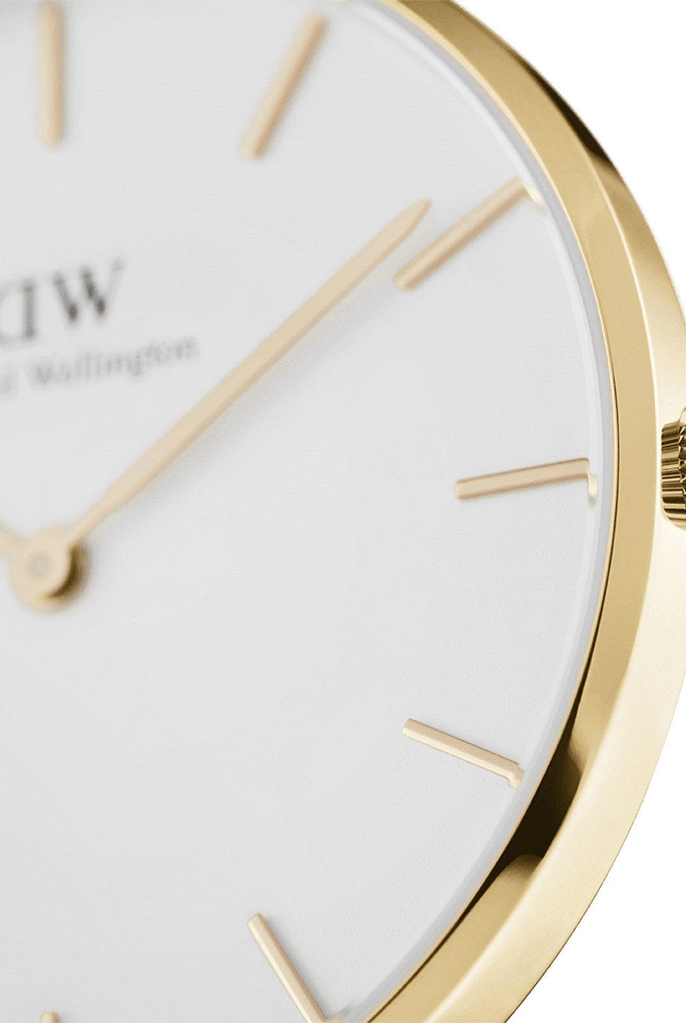 Petite 32 Evergold Gold White Watch