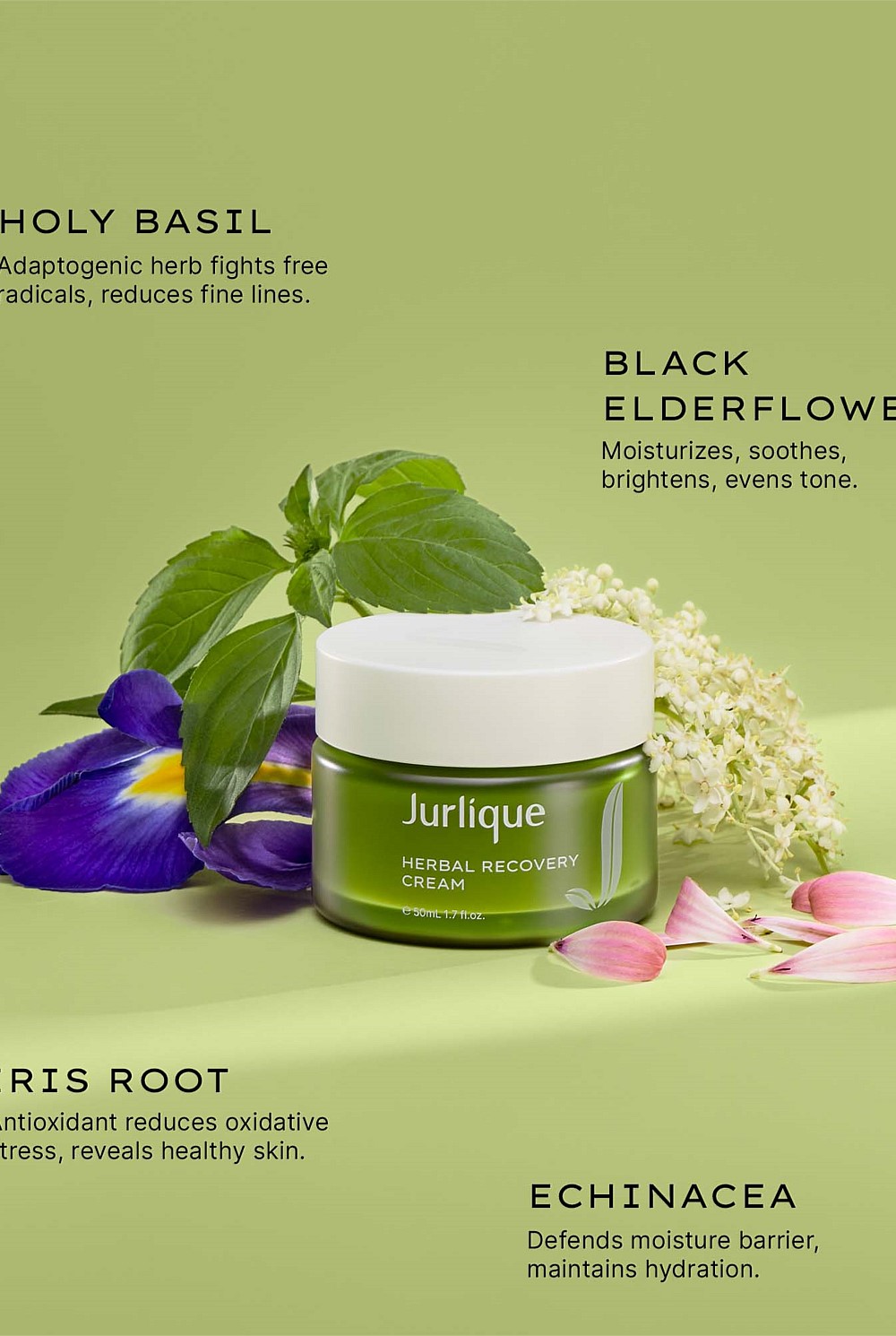 Herbal Recovery Cream