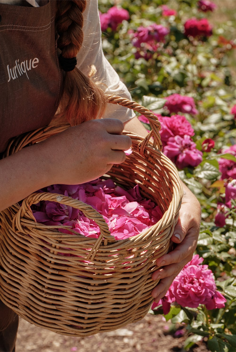 Rose Hand Wash