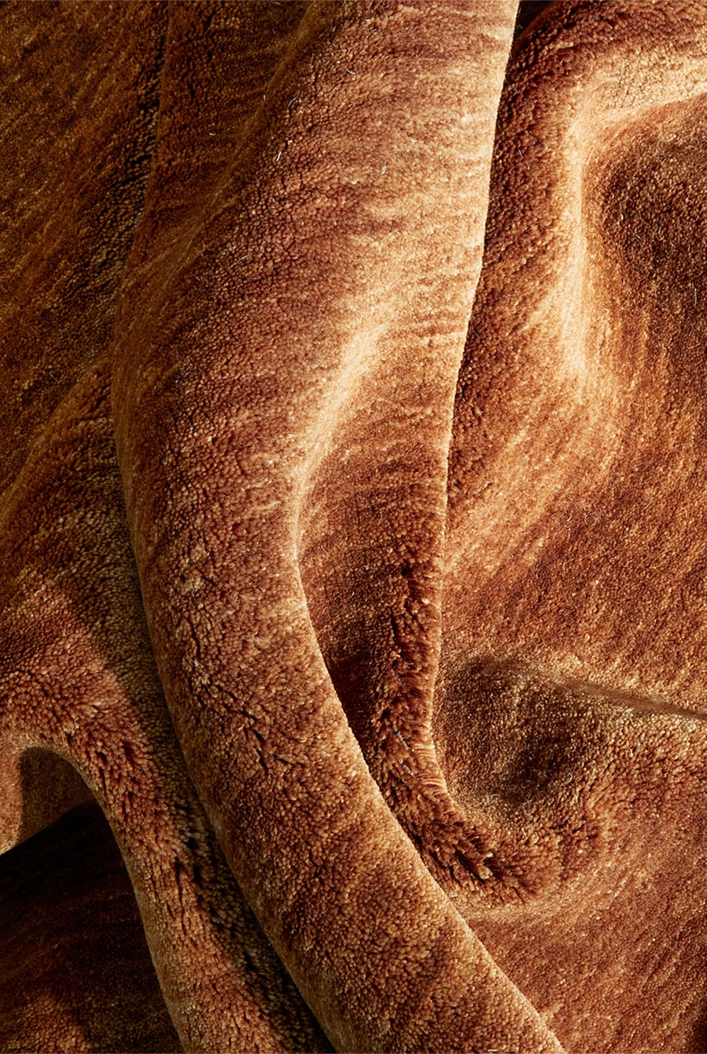 Kinship Caramel Rug 330x240cm