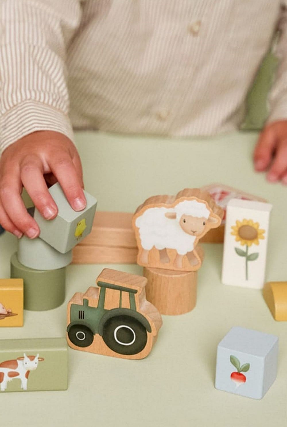 Little Farm Building Blocks