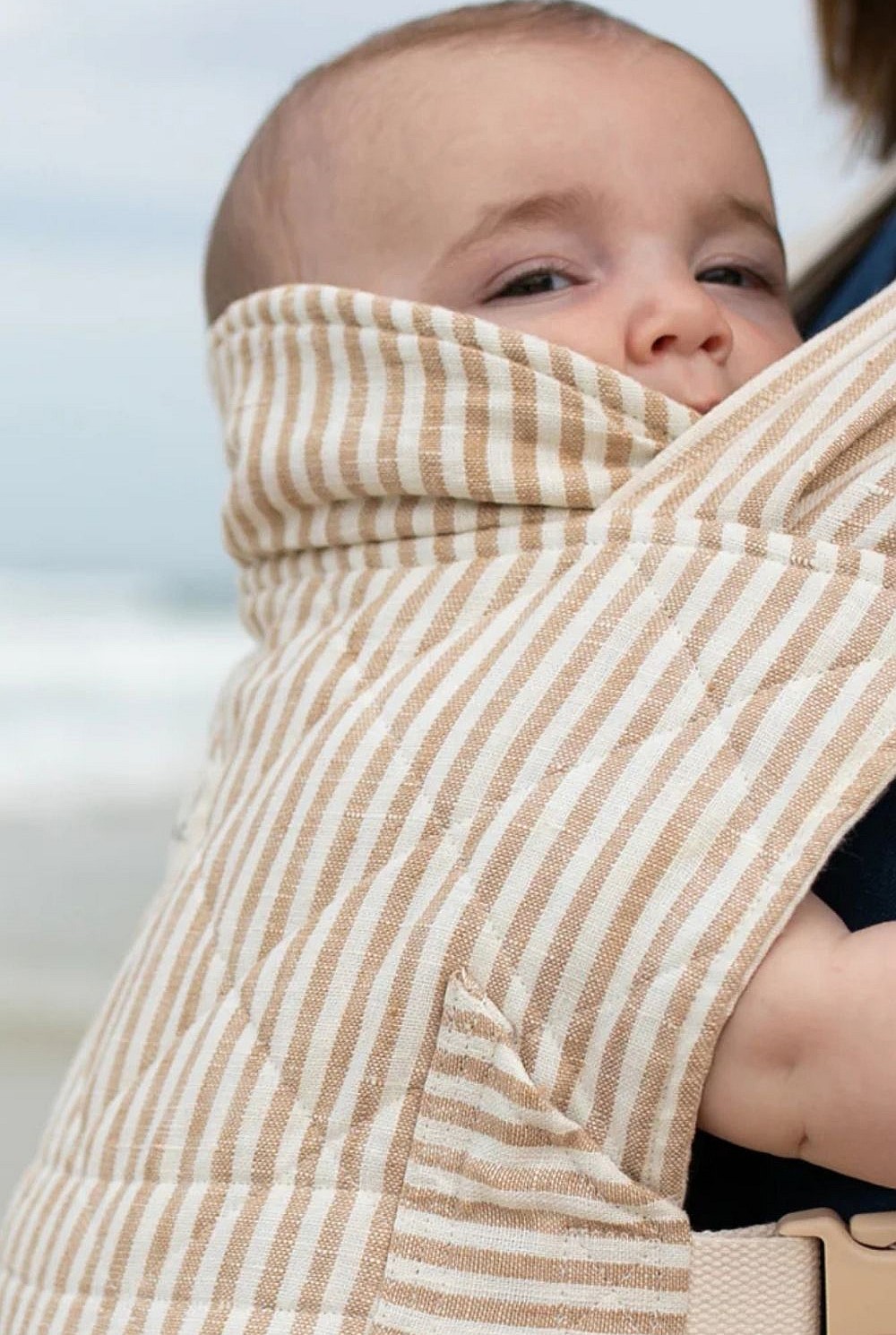 Daily Carrier - Burleigh