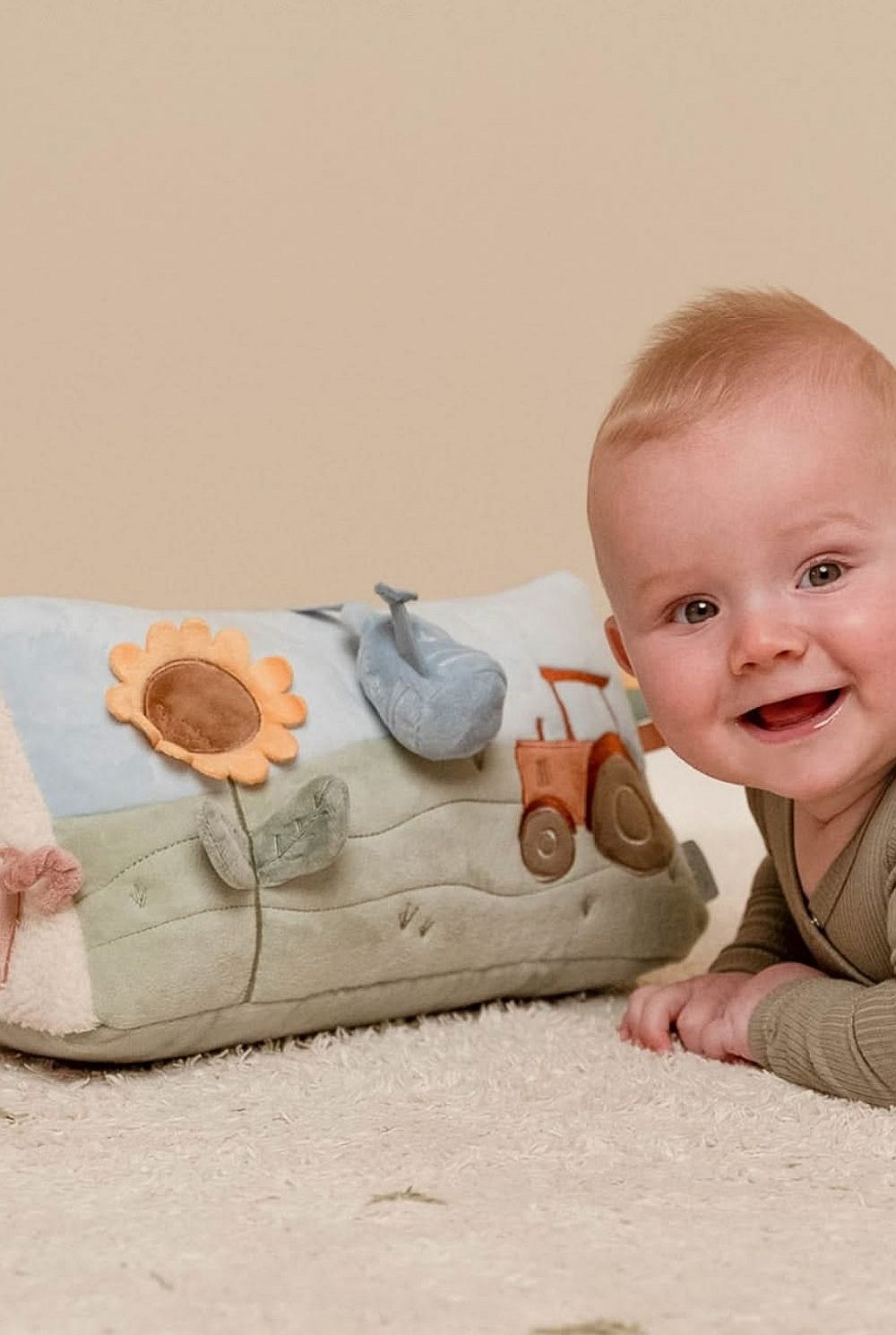 Little Farm Activity Triangle