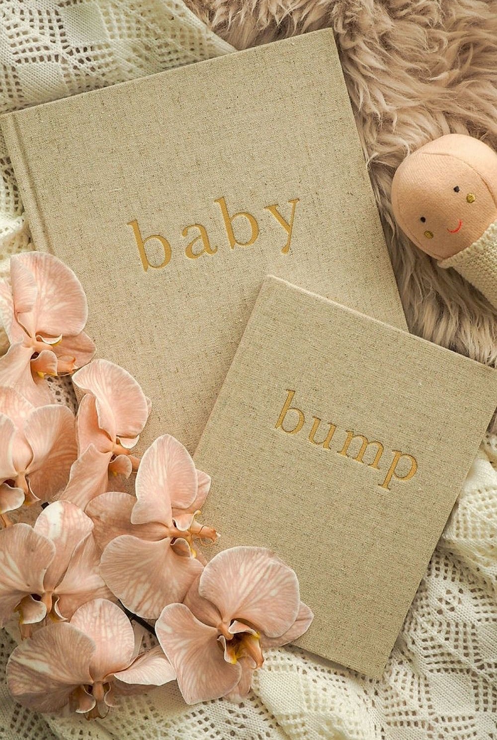 Baby Journal: Bump. A Pregnancy Story