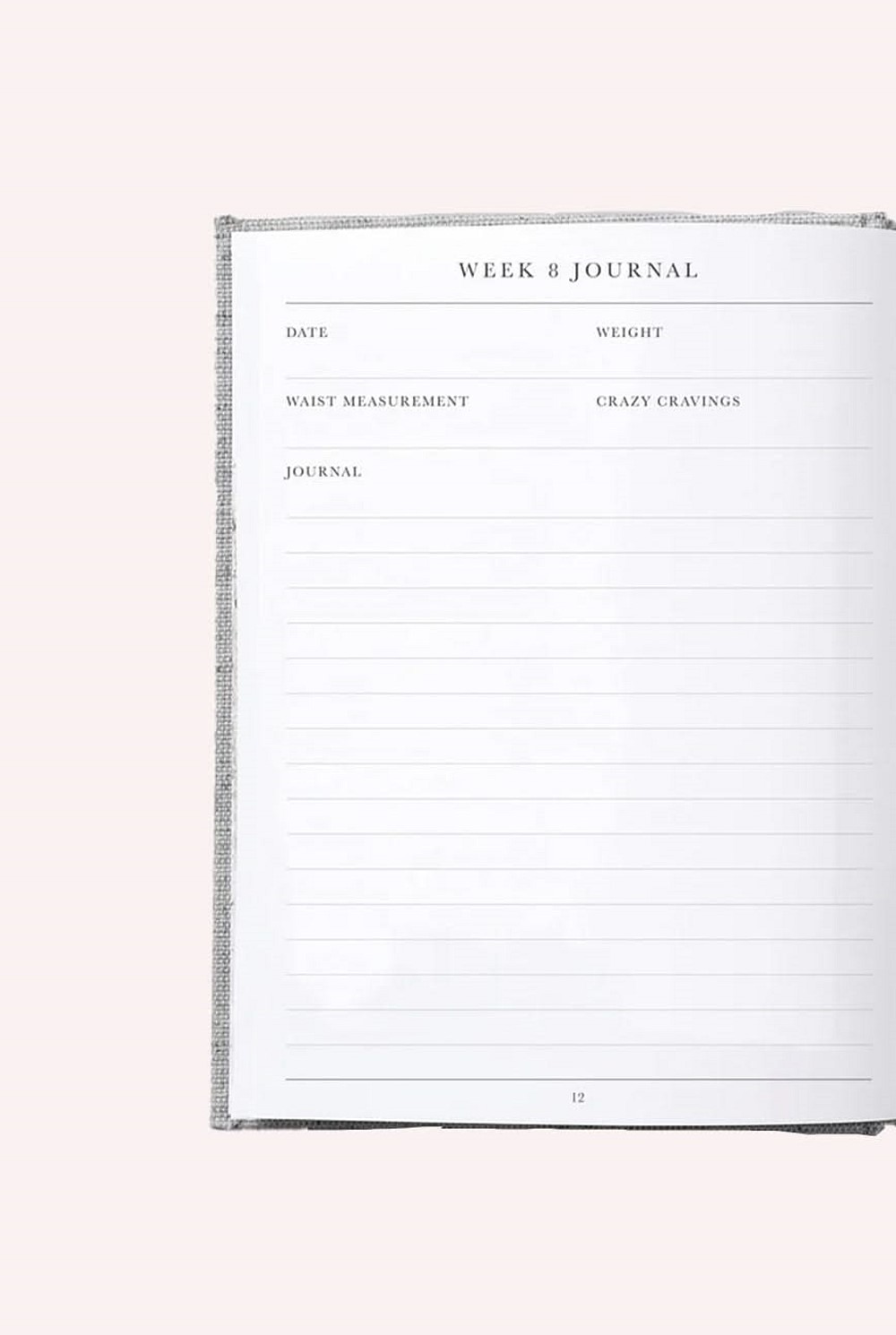 Baby Journal: Bump. A Pregnancy Story