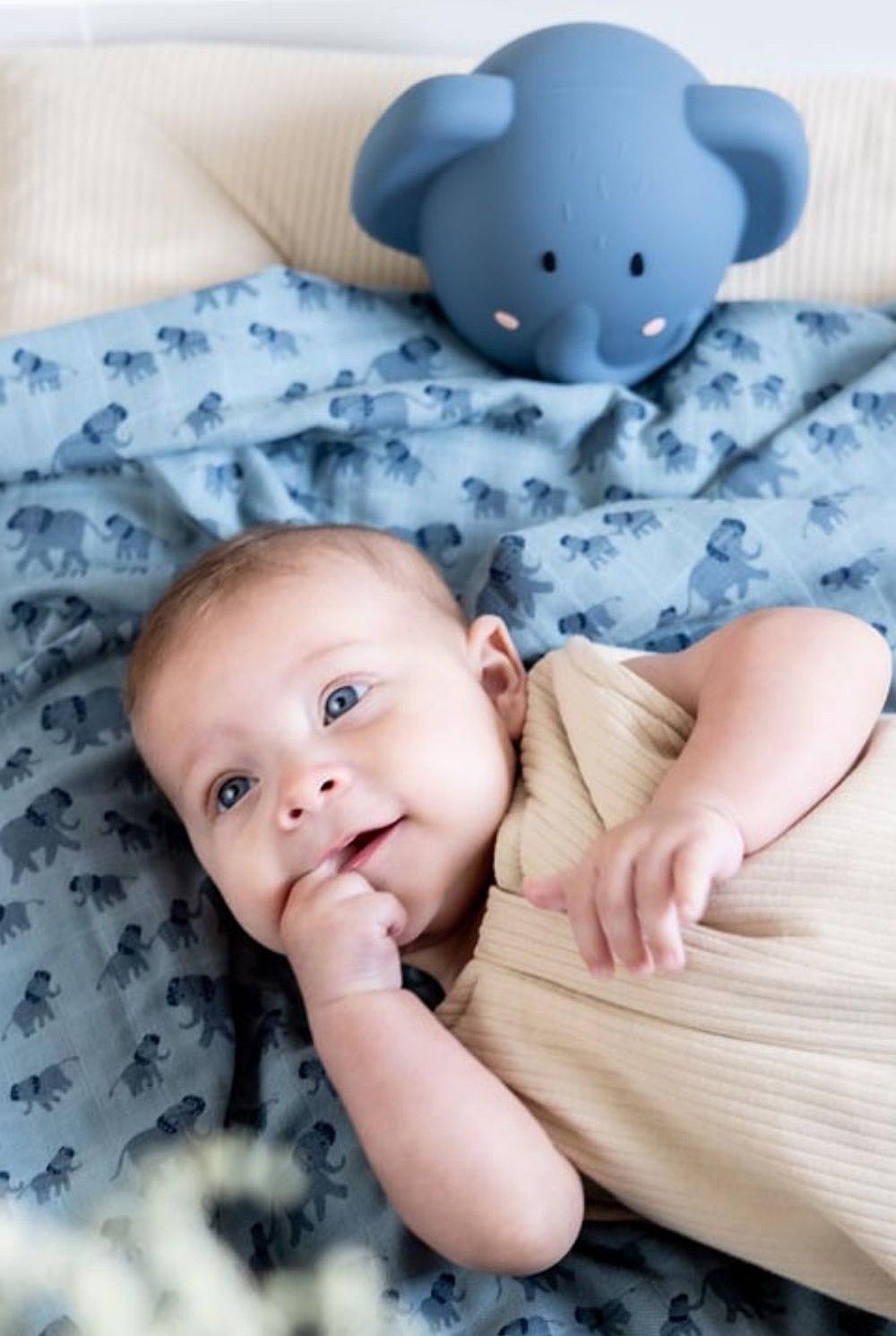 Night Light - Mrs Elephant