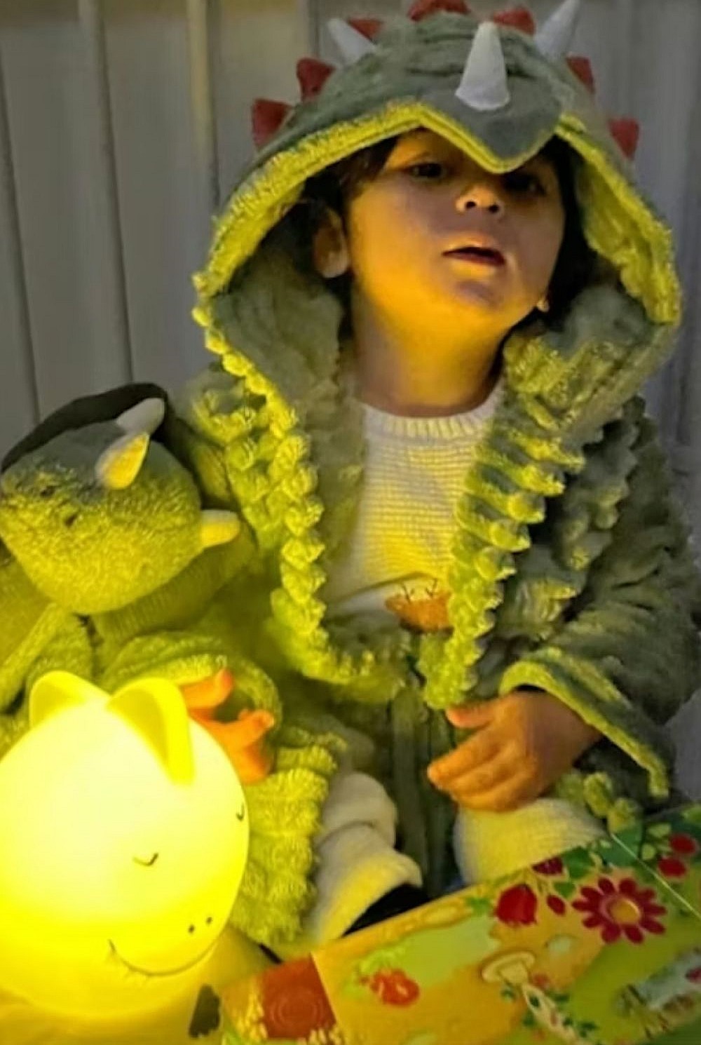 Night Light - Mr Dino