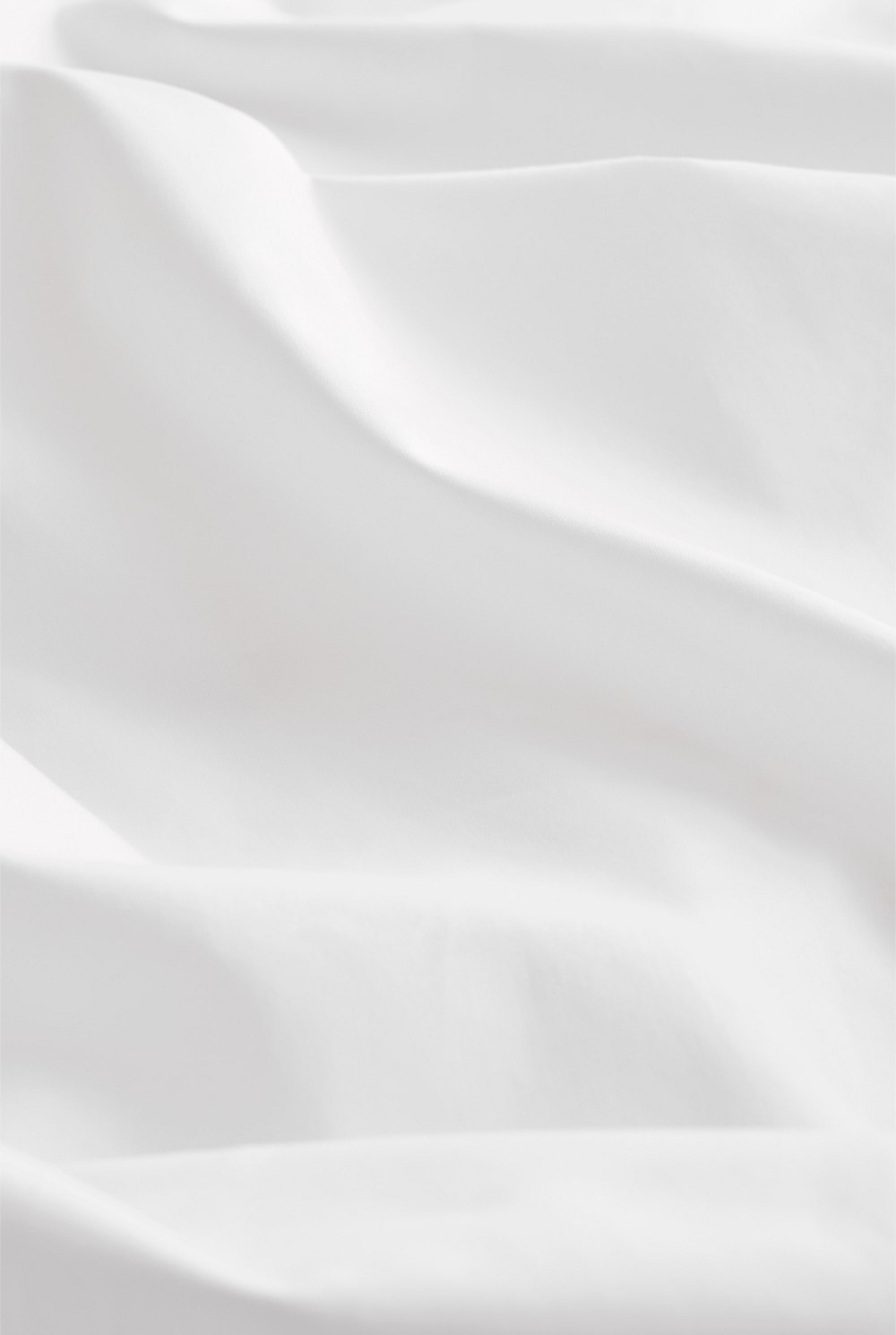 Dita Organically Grown Cotton King Flat Sheet