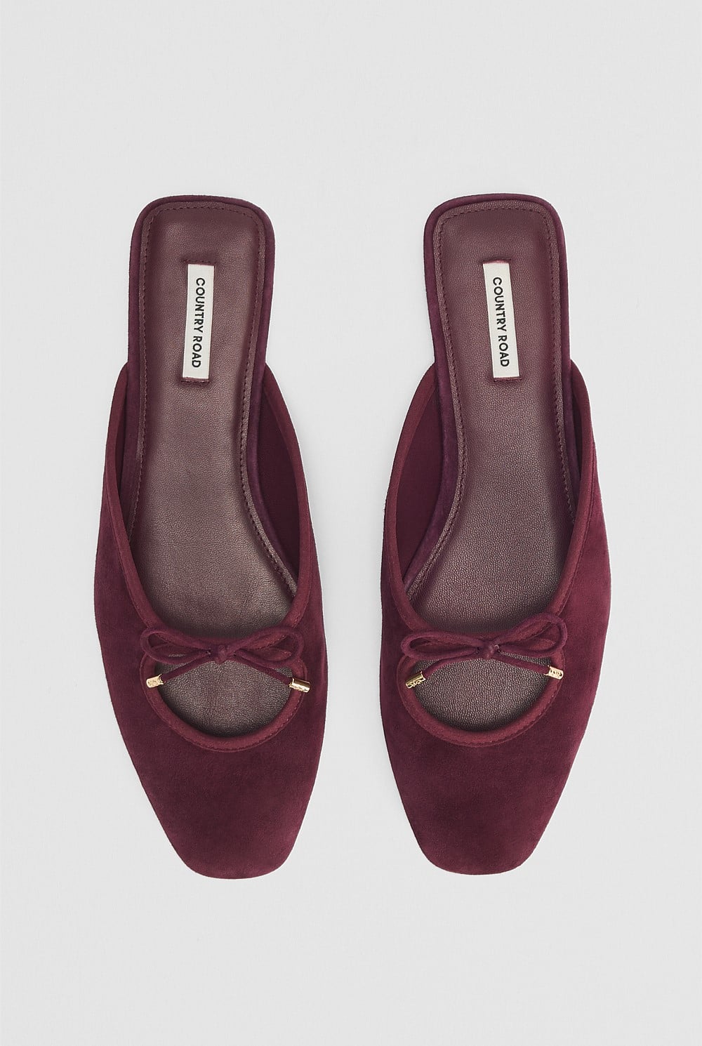 Ariana Mule