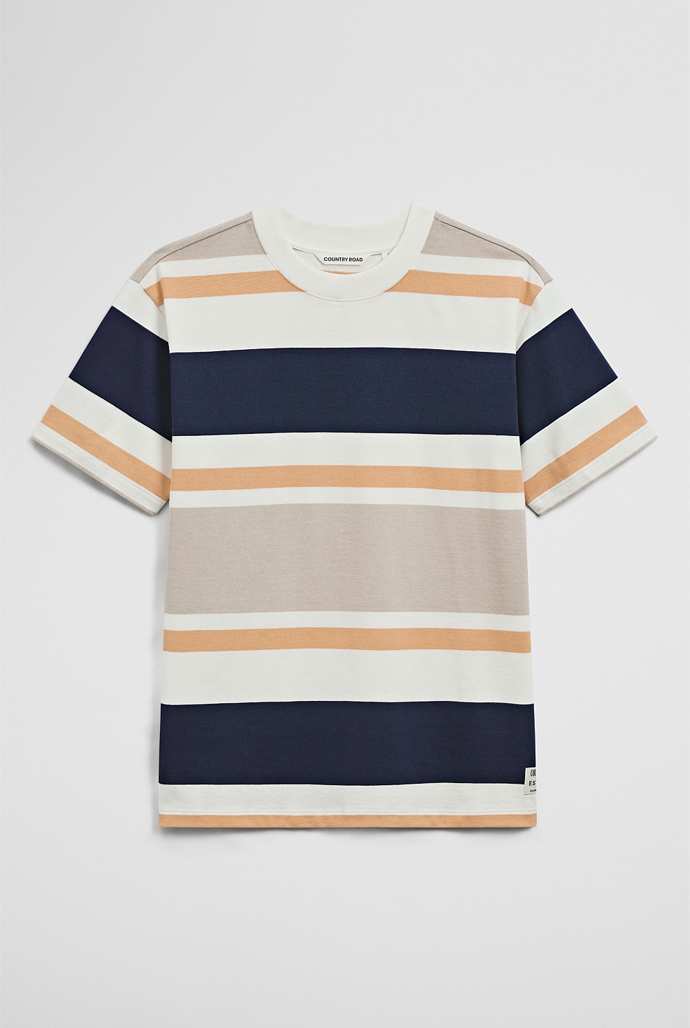 Teen Relaxed Fit Stripe Short Sleeve T-Shirt