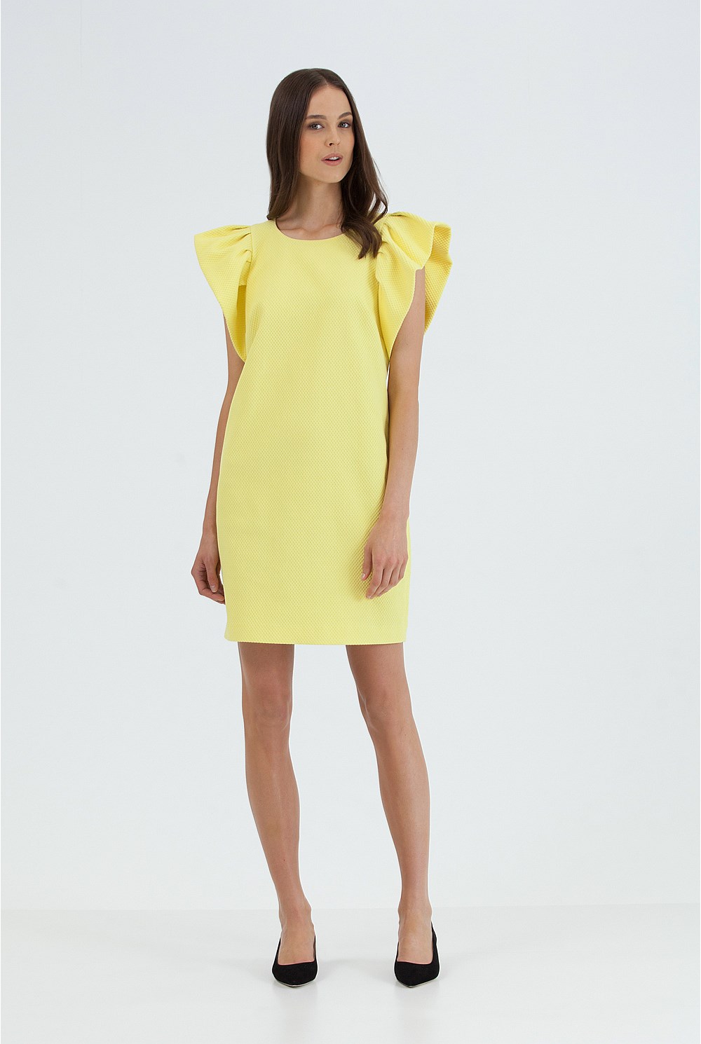Ruffle Sleeve Dress