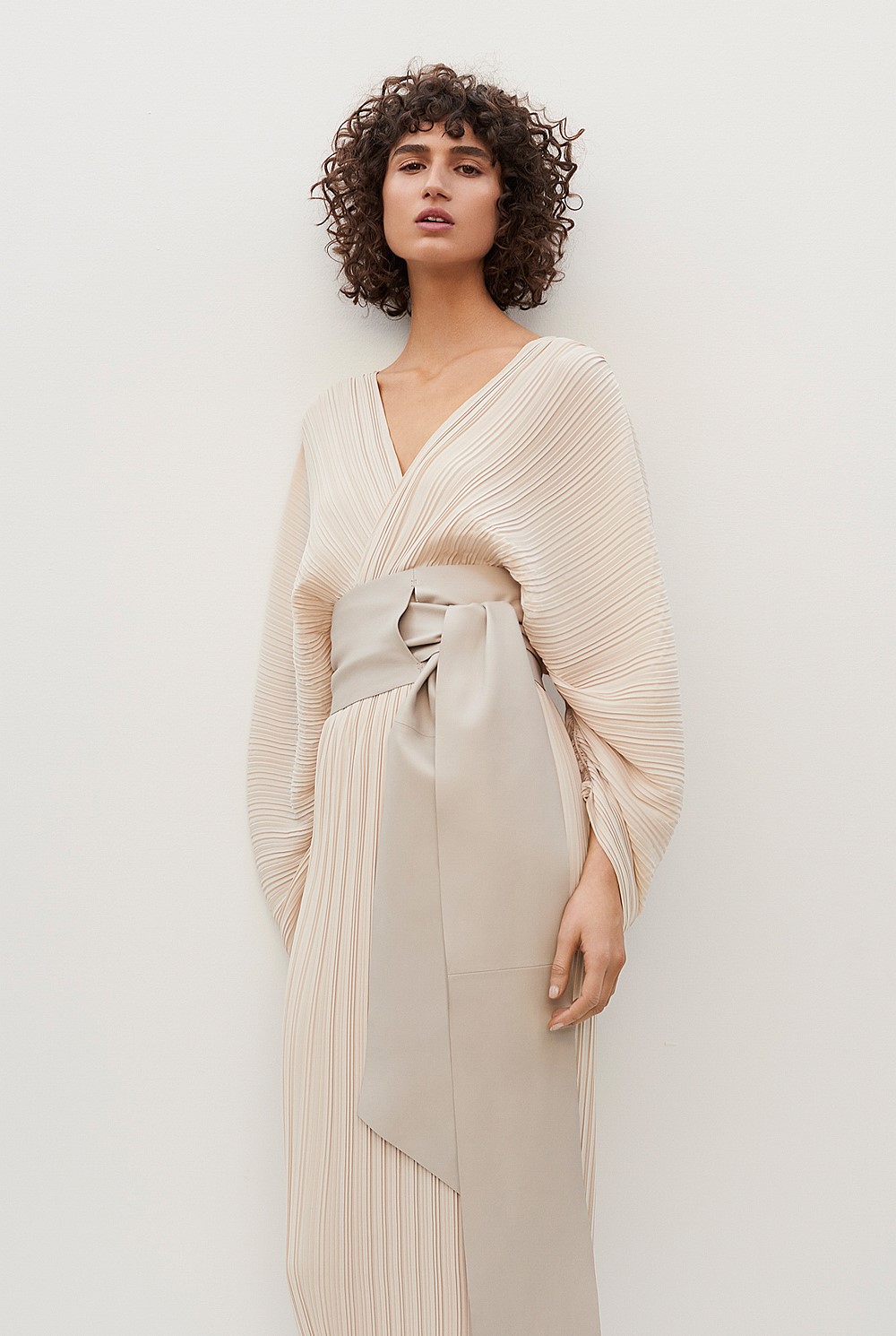 Belted Pleat Dress
