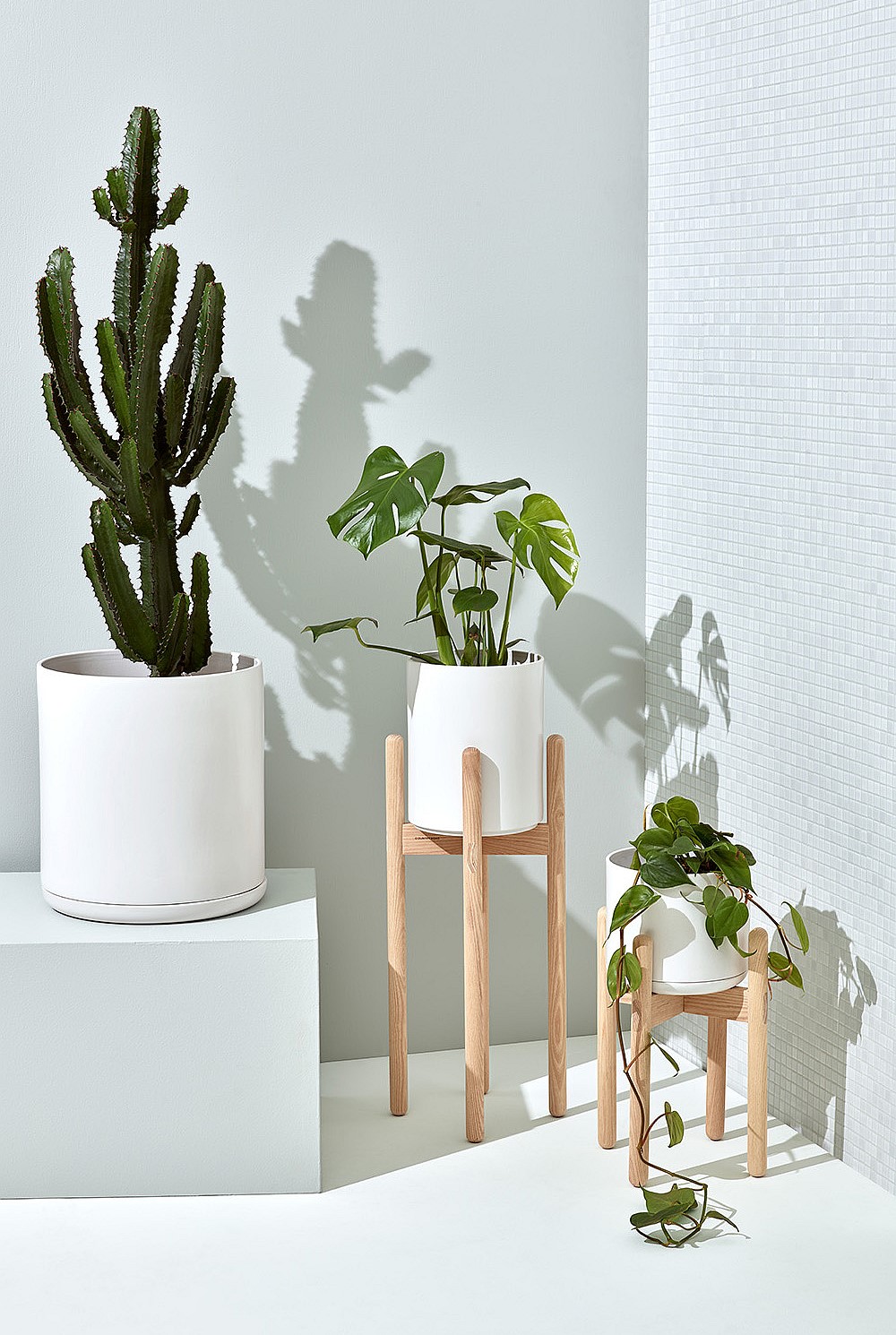 Corr Medium Pot