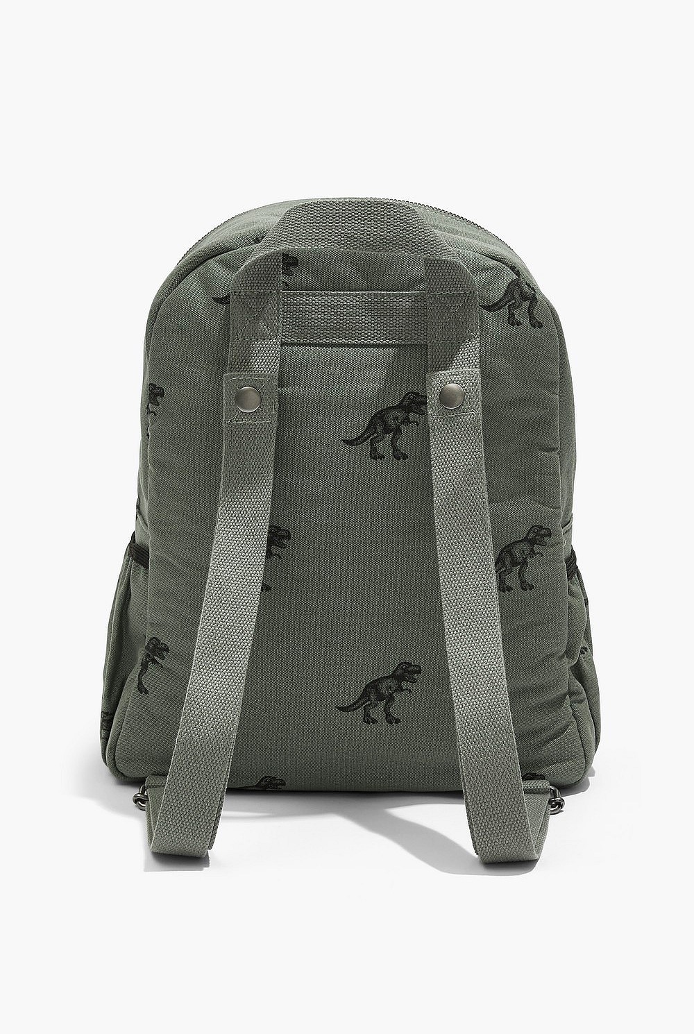 Dinosaur Backpack