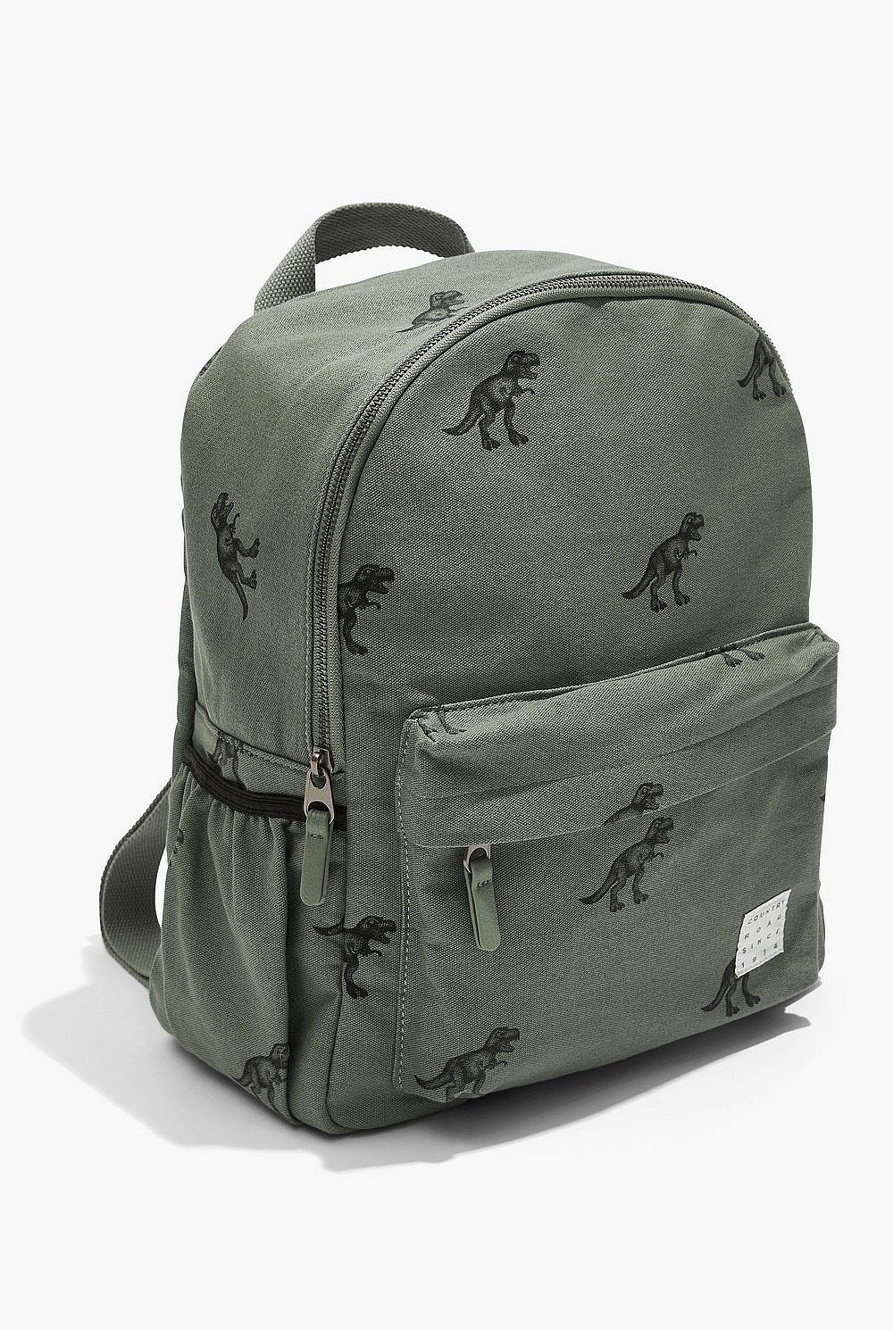 Dinosaur Backpack