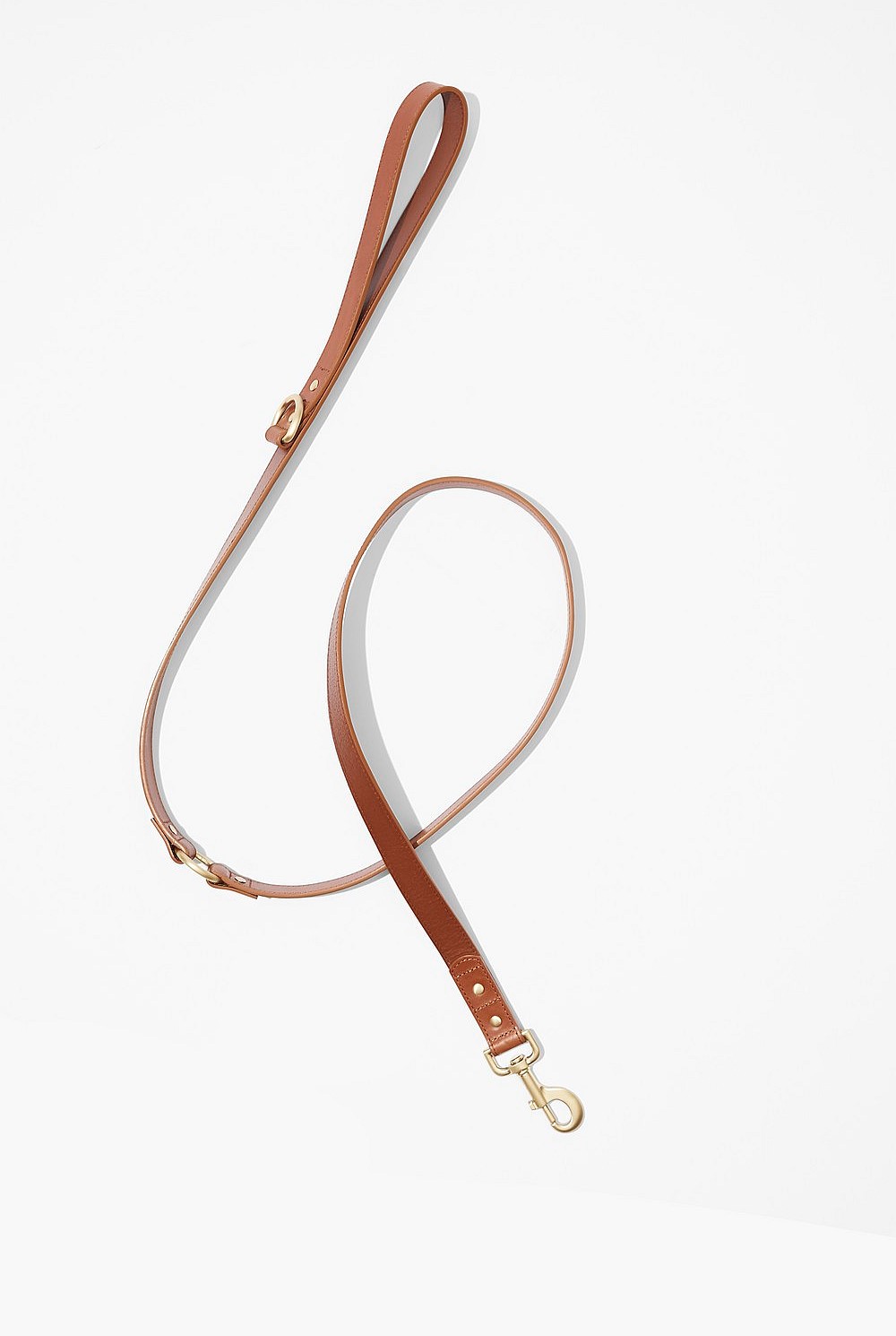 Enzo Leather Pet Lead