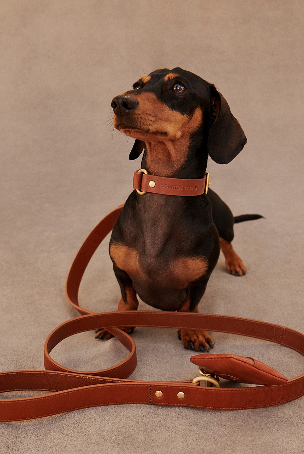 Enzo Leather Pet Lead